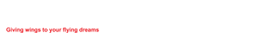 Flying Goose Aviation Institute